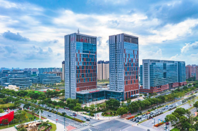 浙江清华长三角研究院：一颗"岩藻黑巧"背后的科技突围与产业革命
